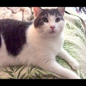 Meet your Posher, Glenn